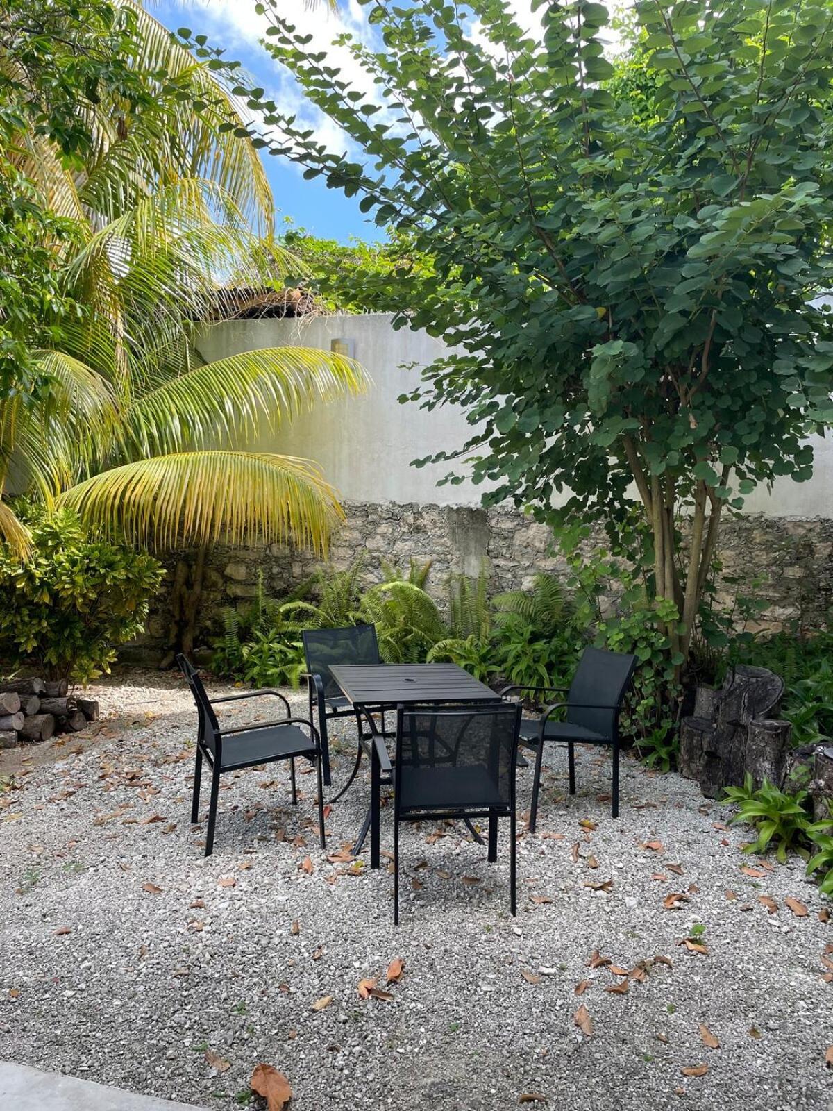Coco Cozy Apartment Centric And Private Cozumel Exteriör bild